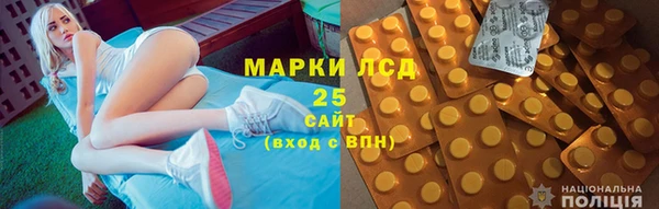 ПСИЛОЦИБИНОВЫЕ ГРИБЫ Арсеньев