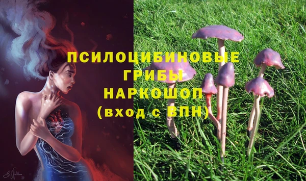 дурь Балабаново