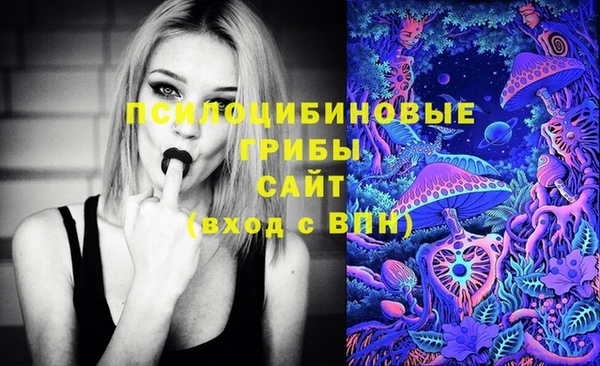 ALPHA-PVP Нефтекумск