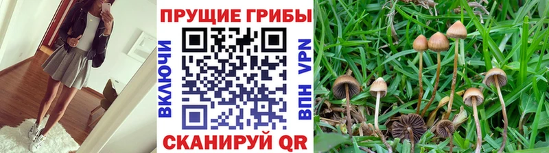 даркнет сайт  Великий Устюг  Галлюциногенные грибы ЛСД 